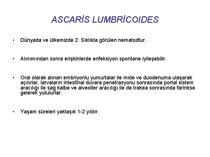 ASCARİS LUMBRİCOIDES • Dünyada ve ülkemizde 2. Sıklıkla görülen nematodtur. • Alınımından sonra erişkinlerde