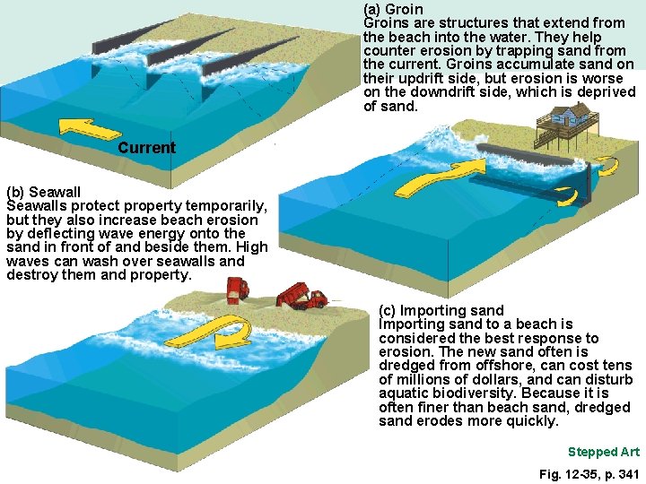 (a) Groins are structures that extend from the beach into the water. They help