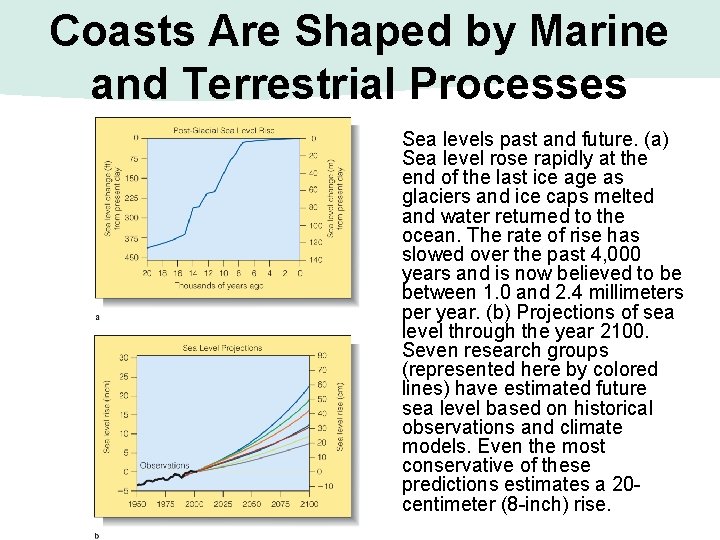 Coasts Are Shaped by Marine and Terrestrial Processes Sea levels past and future. (a)