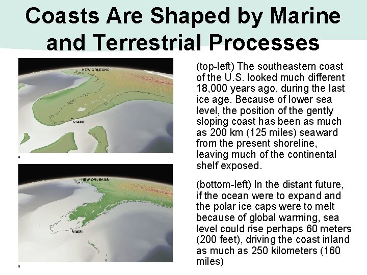 Coasts Are Shaped by Marine and Terrestrial Processes (top-left) The southeastern coast of the