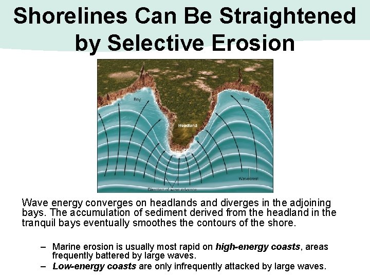 Shorelines Can Be Straightened by Selective Erosion Wave energy converges on headlands and diverges