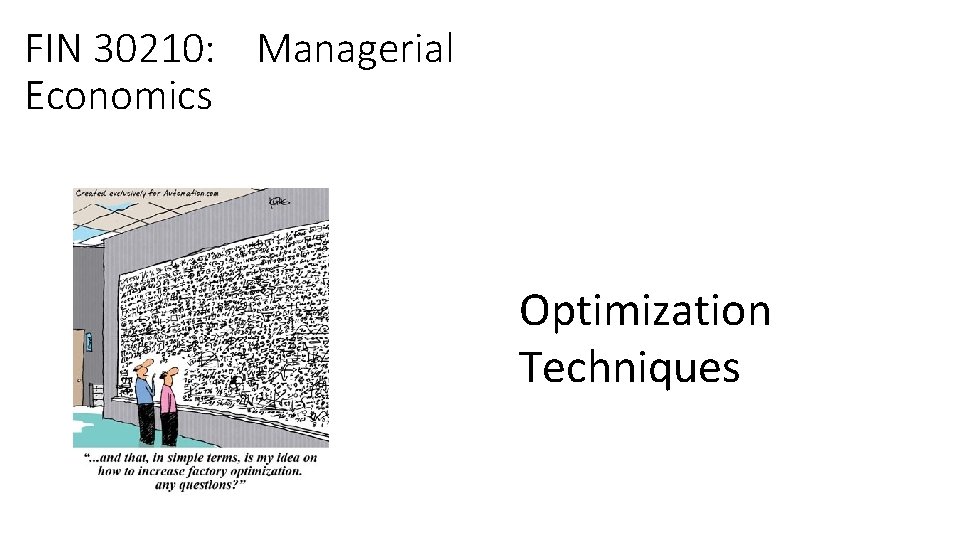 FIN 30210: Managerial Economics Optimization Techniques 