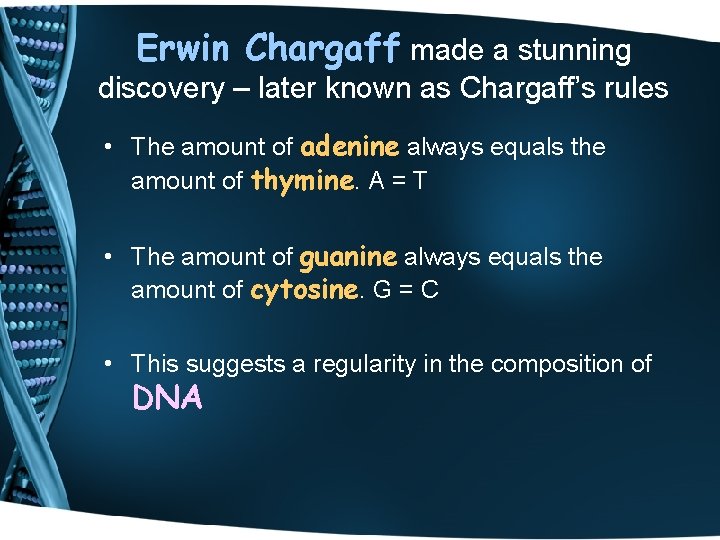 Erwin Chargaff made a stunning discovery – later known as Chargaff’s rules • The