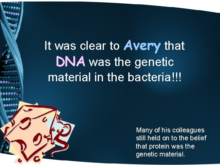 It was clear to Avery that DNA was the genetic material in the bacteria!!!