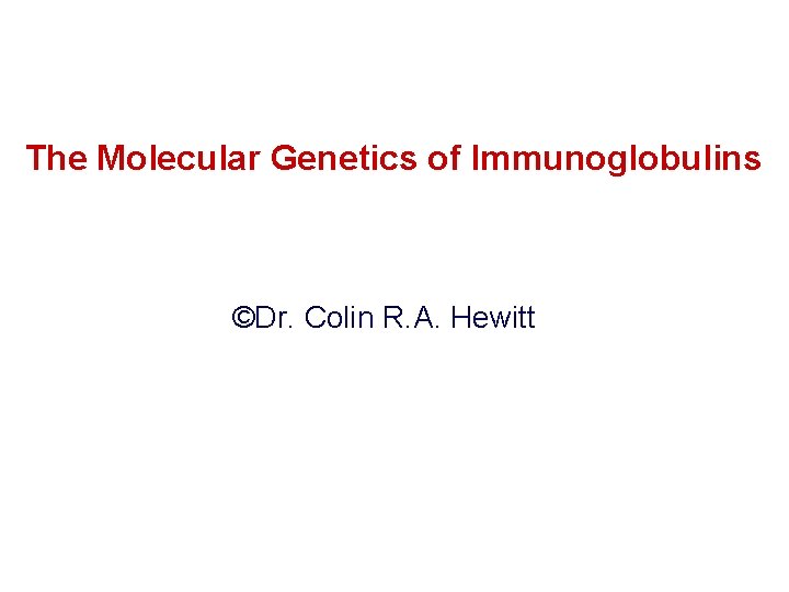The Molecular Genetics of Immunoglobulins ©Dr. Colin R. A. Hewitt 