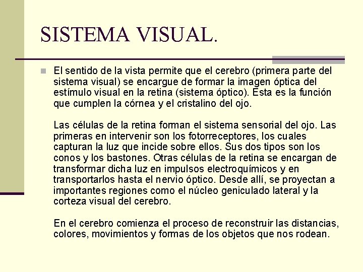 SISTEMA VISUAL. n El sentido de la vista permite que el cerebro (primera parte