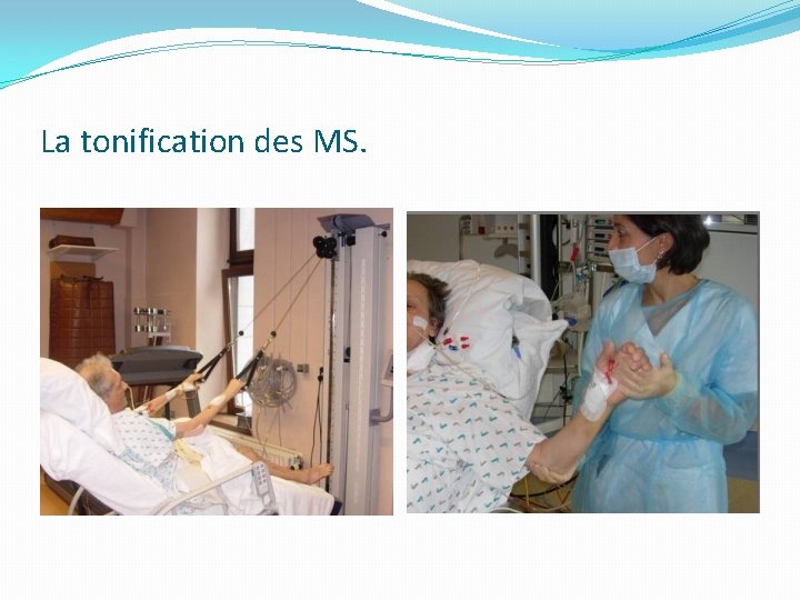 La tonification des MS. 