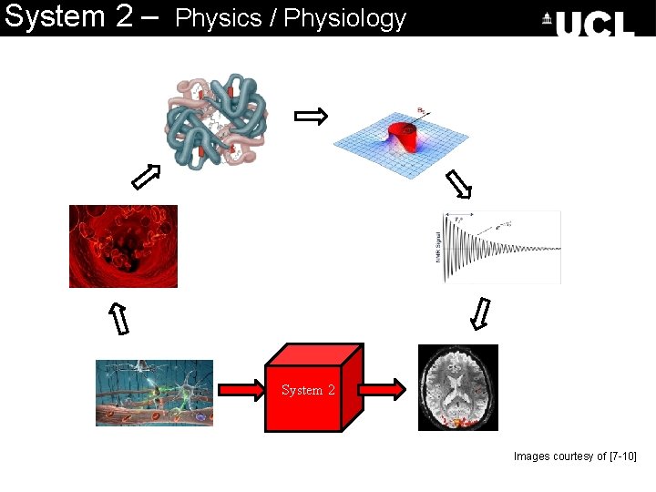 System 2 – Physics / Physiology System 2 Images courtesy of [7 -10] 