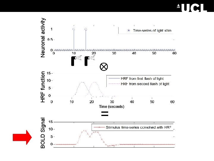 BOLD Signal = HRF function Neuronal activity 