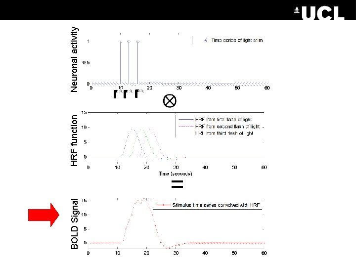 BOLD Signal = HRF function Neuronal activity 