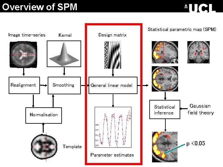 Overview of SPM Statistical parametric map (SPM) Image time-series Realignment Kernel Smoothing Design matrix