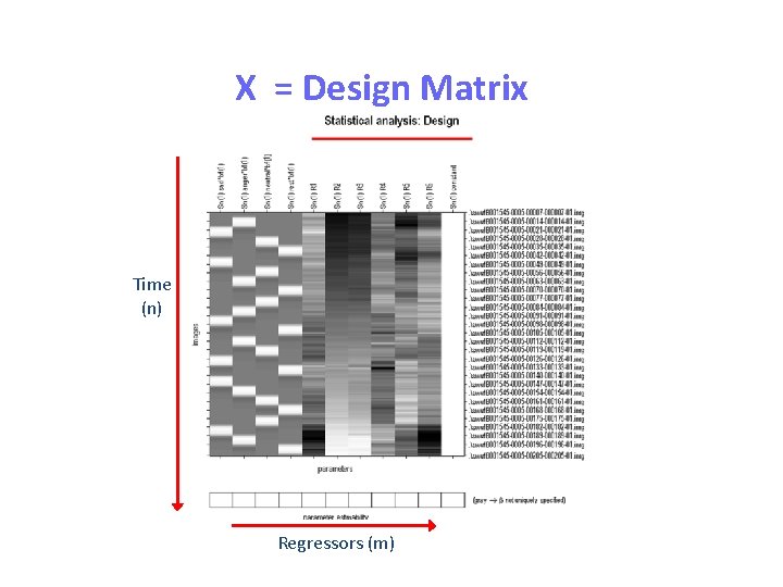 ‘X’ in the GLM X = Design Matrix Time (n) Regressors (m) 