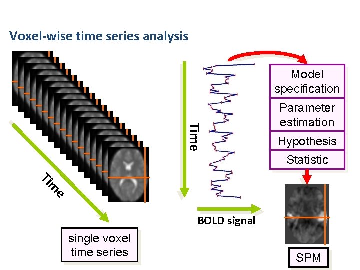 Voxel-wise time series analysis Model specification Time Parameter estimation Hypothesis Statistic m Ti e