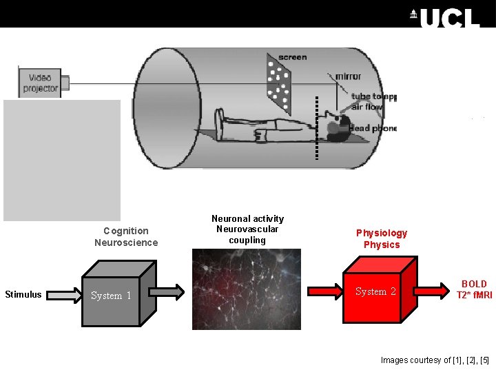 Cognition Neuroscience Stimulus System 1 Neuronal activity Neurovascular coupling Physiology Physics System 2 BOLD
