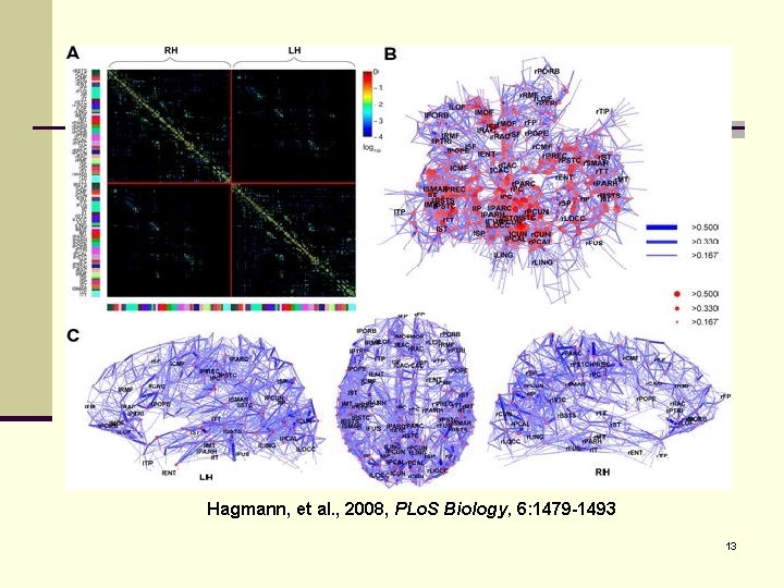 The Connectome - 2 Hagmann, et al. , 2008, PLo. S Biology, 6: 1479