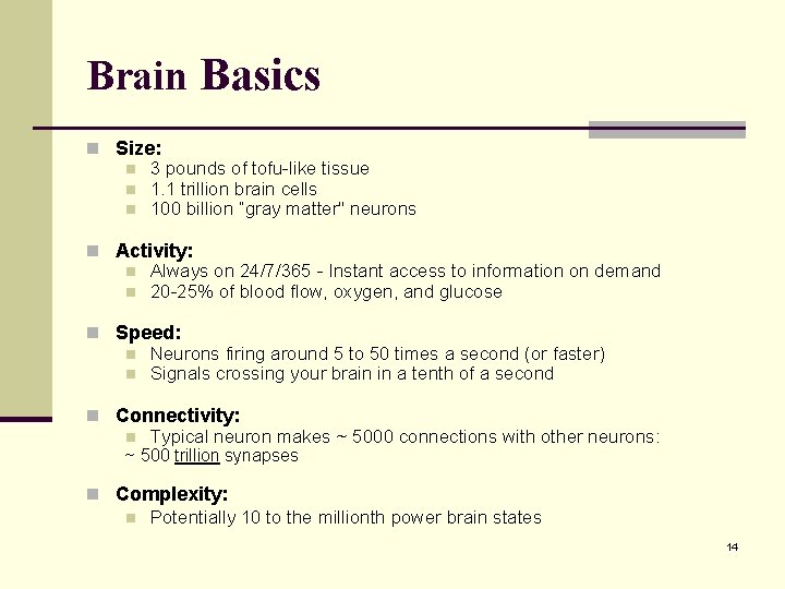 Brain Basics n Size: n 3 pounds of tofu-like tissue n 1. 1 trillion