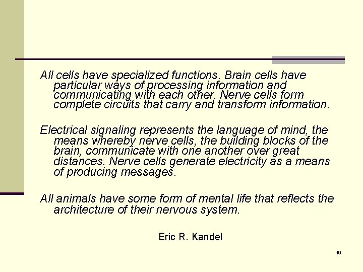 All cells have specialized functions. Brain cells have particular ways of processing information and