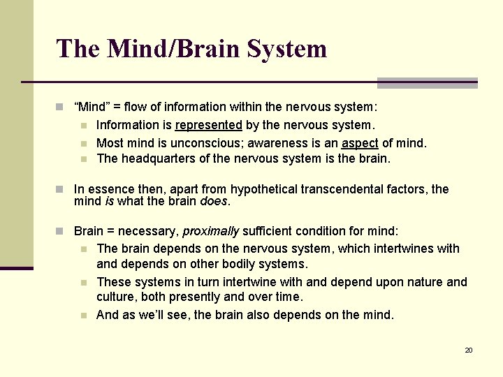The Mind/Brain System n “Mind” = flow of information within the nervous system: n