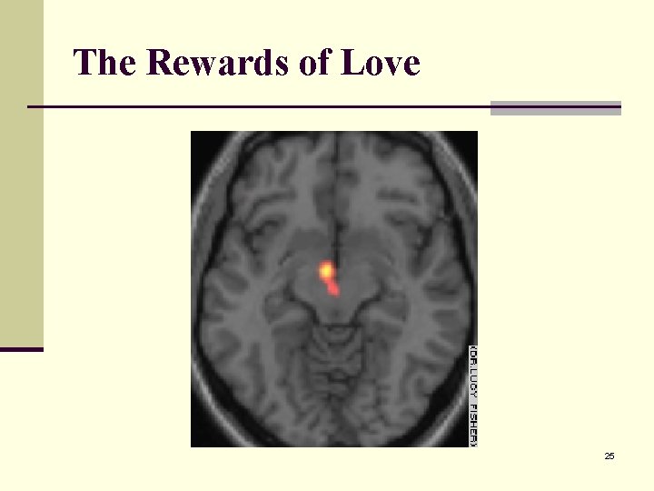 The Rewards of Love 25 