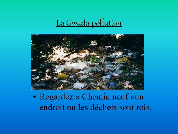 La Gwada pollution • Regardez « Chemin neuf » un endroit ou les déchets