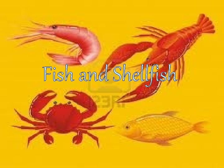 Fish and Shellfish 