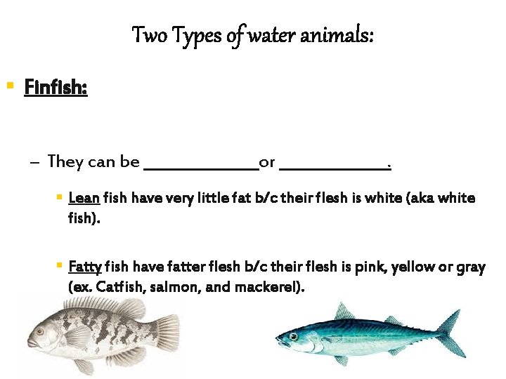 Two Types of water animals: § Finfish: – They can be ________or _______. §