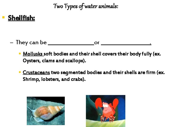 Two Types of water animals: § Shellfish: – They can be _________or __________. §