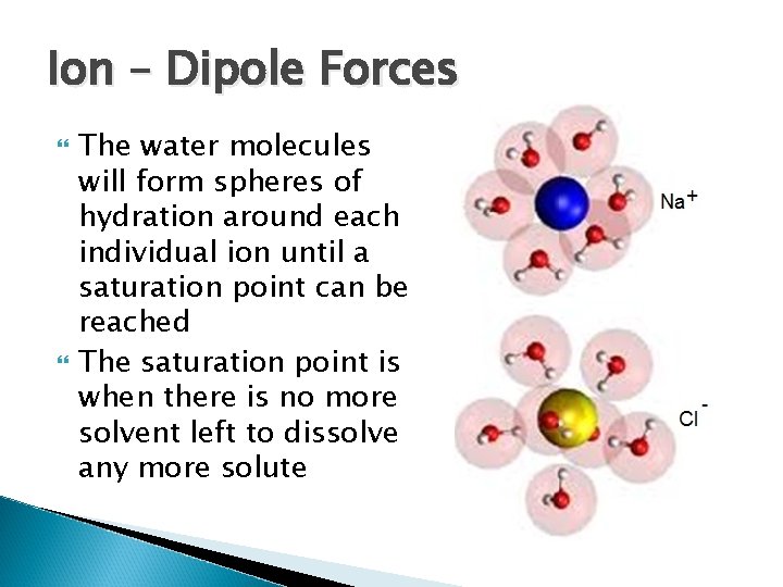 Ion – Dipole Forces The water molecules will form spheres of hydration around each