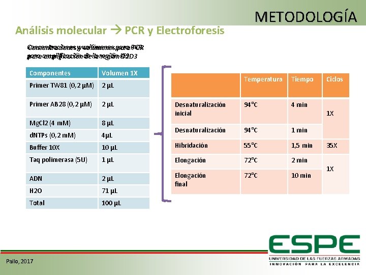 Análisis molecular PCR y Electroforesis METODOLOGÍA Concentraciones yy volúmenes para. PCR para amplificación de