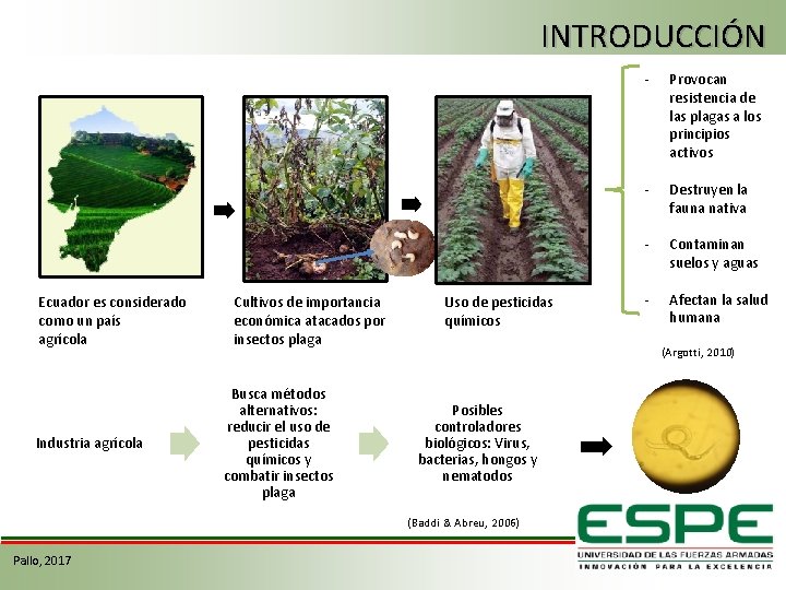 INTRODUCCIÓN Ecuador es considerado como un país agrícola Industria agrícola Cultivos de importancia económica