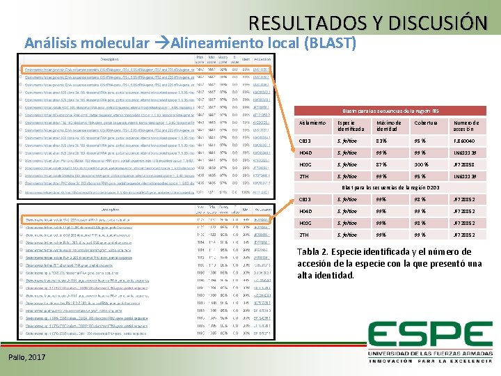 RESULTADOS Y DISCUSIÓN Análisis molecular Alineamiento local (BLAST) Blastn para las secuencias de la