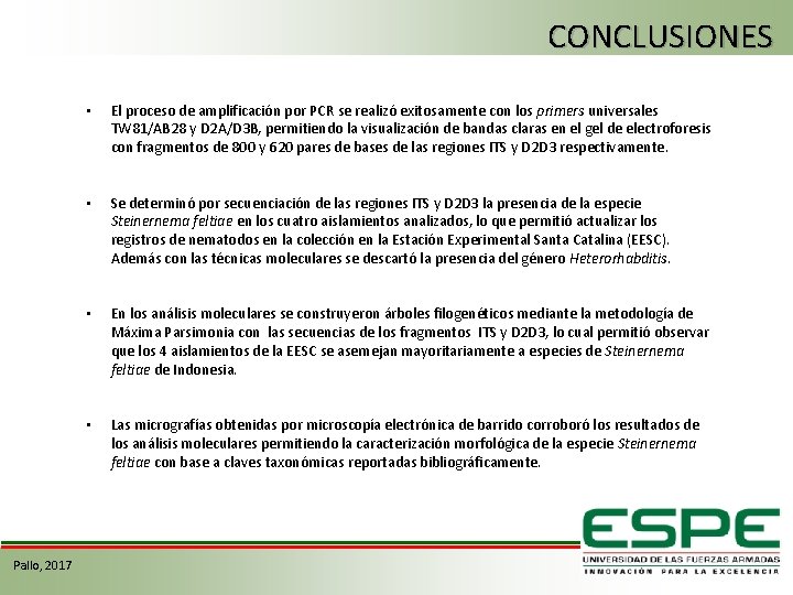 CONCLUSIONES Pallo, 2017 • El proceso de amplificación por PCR se realizó exitosamente con