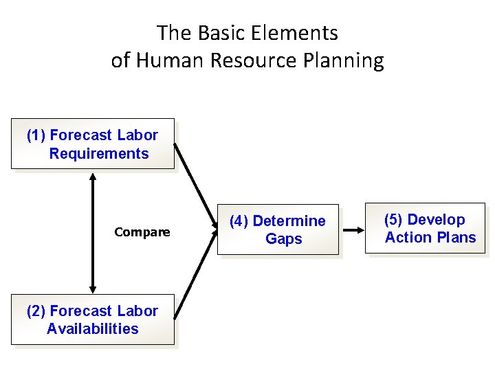 The Basic Elements of Human Resource Planning (1) Forecast Labor Requirements Compare (2) Forecast