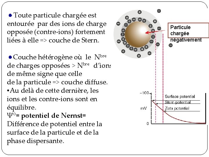 Toute particule chargée est entourée par des ions de charge opposée (contre-ions) fortement Toute particule chargée est entourée par des ions de charge opposée (contre-ions) fortement