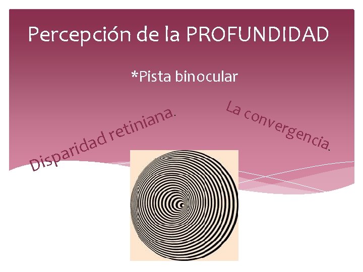 Percepción de la PROFUNDIDAD *Pista binocular p s i D a d i r Percepción de la PROFUNDIDAD *Pista binocular p s i D a d i r