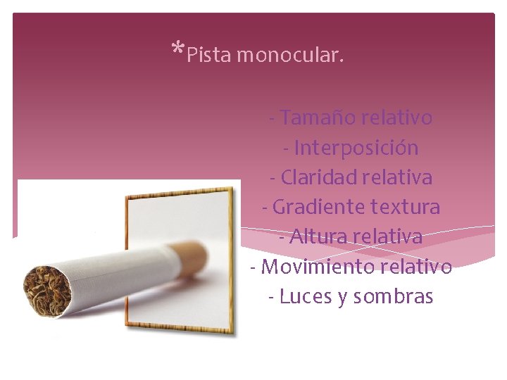 *Pista monocular. - Tamaño relativo - Interposición - Claridad relativa - Gradiente textura - *Pista monocular. - Tamaño relativo - Interposición - Claridad relativa - Gradiente textura -