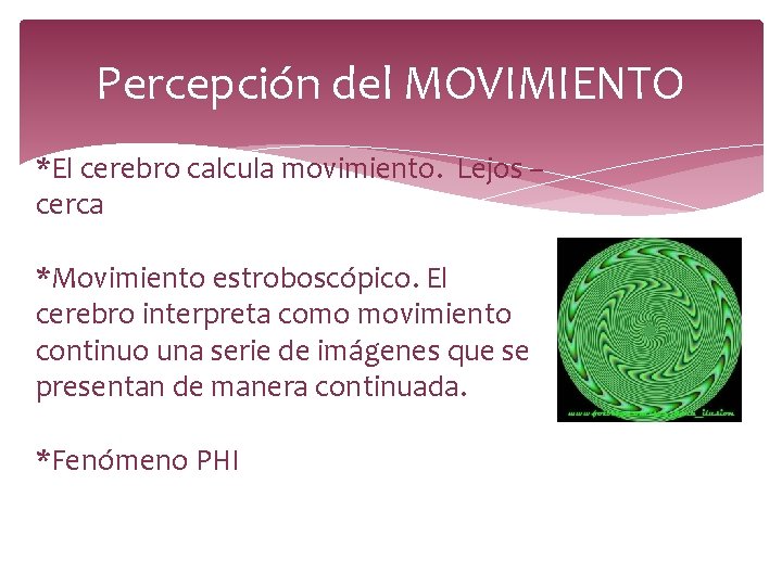 Percepción del MOVIMIENTO *El cerebro calcula movimiento. Lejos – cerca *Movimiento estroboscópico. El cerebro Percepción del MOVIMIENTO *El cerebro calcula movimiento. Lejos – cerca *Movimiento estroboscópico. El cerebro