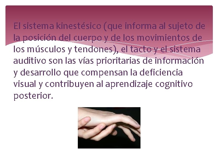 El sistema kinestésico (que informa al sujeto de la posición del cuerpo y de El sistema kinestésico (que informa al sujeto de la posición del cuerpo y de