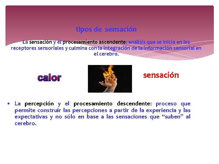 tipos de sensación La sensación y el procesamiento ascendente: análisis que se inicia en tipos de sensación La sensación y el procesamiento ascendente: análisis que se inicia en