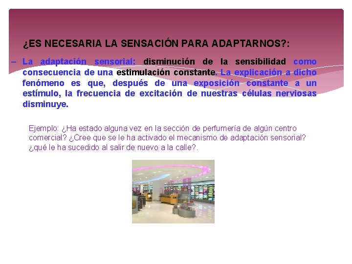 ¿ES NECESARIA LA SENSACIÓN PARA ADAPTARNOS? : – La adaptación sensorial: disminución de la ¿ES NECESARIA LA SENSACIÓN PARA ADAPTARNOS? : – La adaptación sensorial: disminución de la