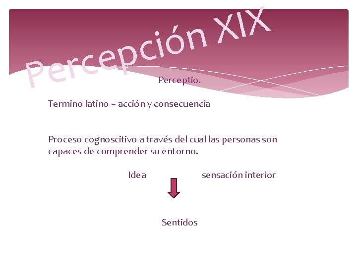 X I X n ció p e c r Pe Perceptio. Termino latino – X I X n ció p e c r Pe Perceptio. Termino latino –