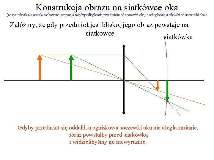 Konstrukcja obrazu na siatkówce oka (na rysunkach nie została zachowana proporcja między odległością przedmiotu