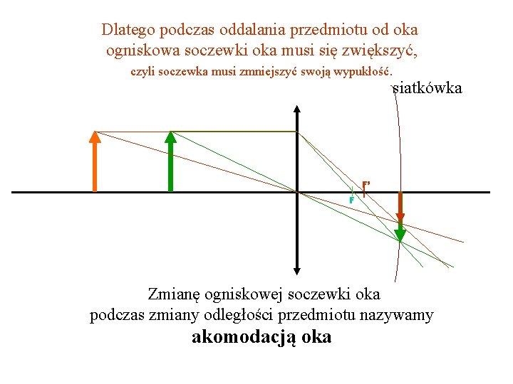 Dlatego podczas oddalania przedmiotu od oka ogniskowa soczewki oka musi się zwiększyć, czyli soczewka