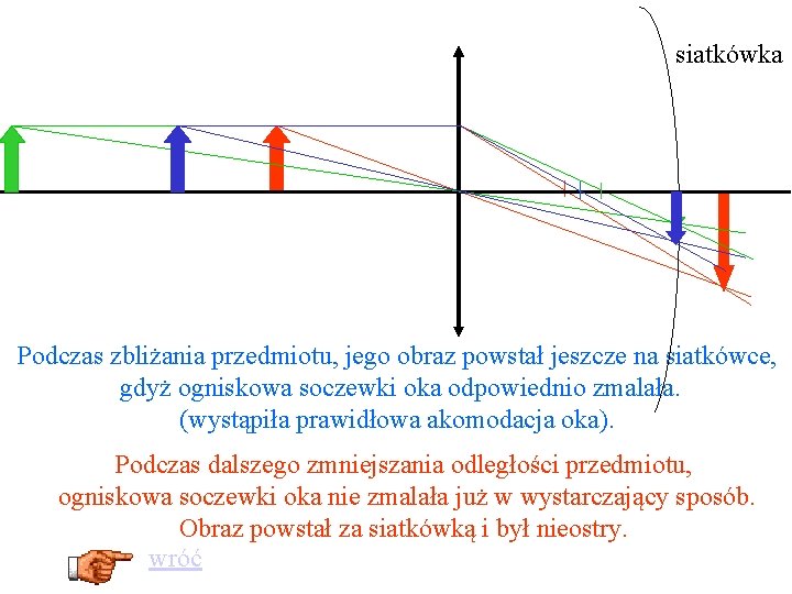 siatkówka Podczas zbliżania przedmiotu, jego obraz powstał jeszcze na siatkówce, gdyż ogniskowa soczewki oka