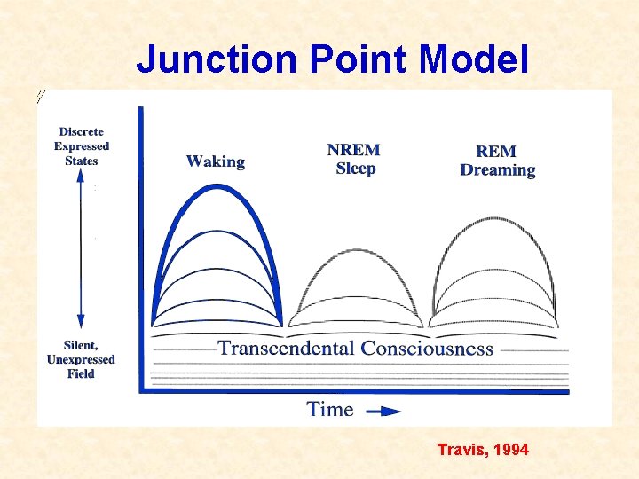 Junction Point Model Travis, 1994 