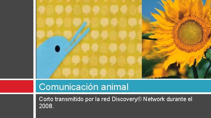 Comunicación animal Corto transmitido por la red Discovery® Network durante el 2008. 