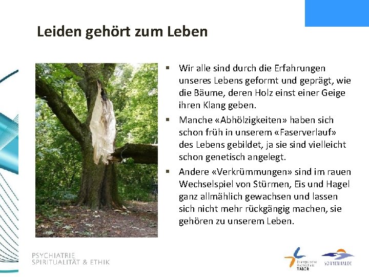 Leiden gehört zum Leben § Wir alle sind durch die Erfahrungen unseres Lebens geformt