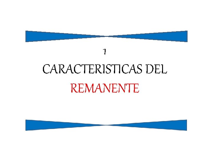 1 CARACTERISTICAS DEL REMANENTE 