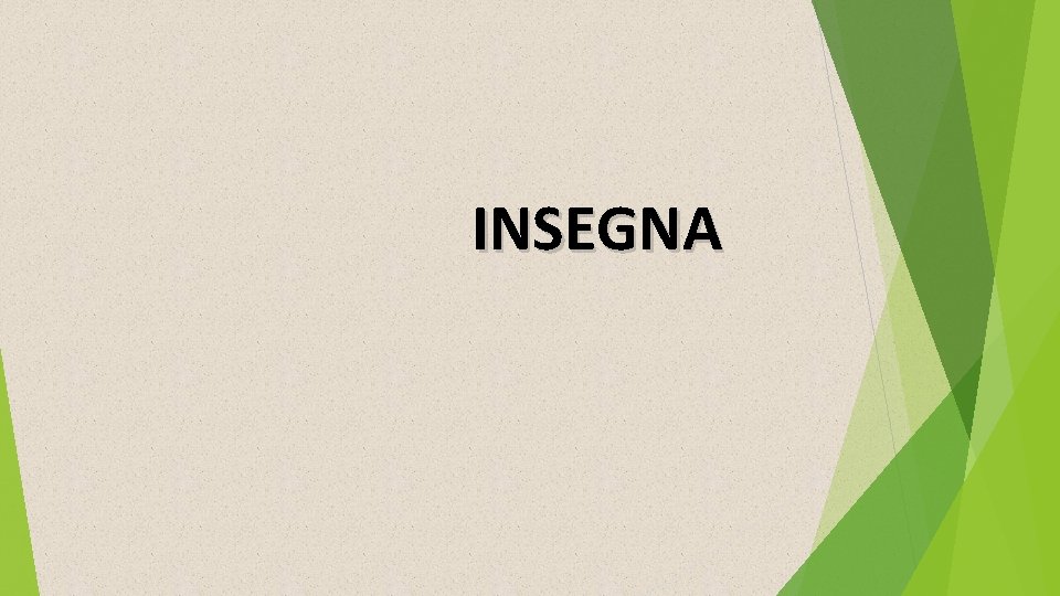 INSEGNA 