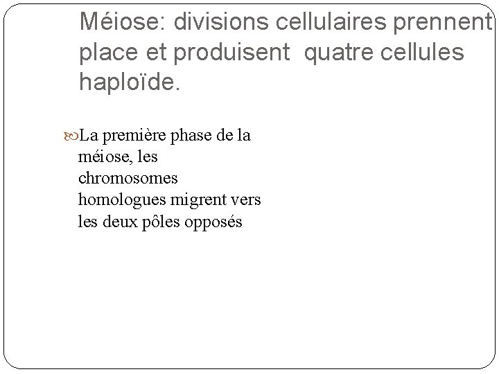 Méiose: divisions cellulaires prennent place et produisent quatre cellules haploïde. La première phase de